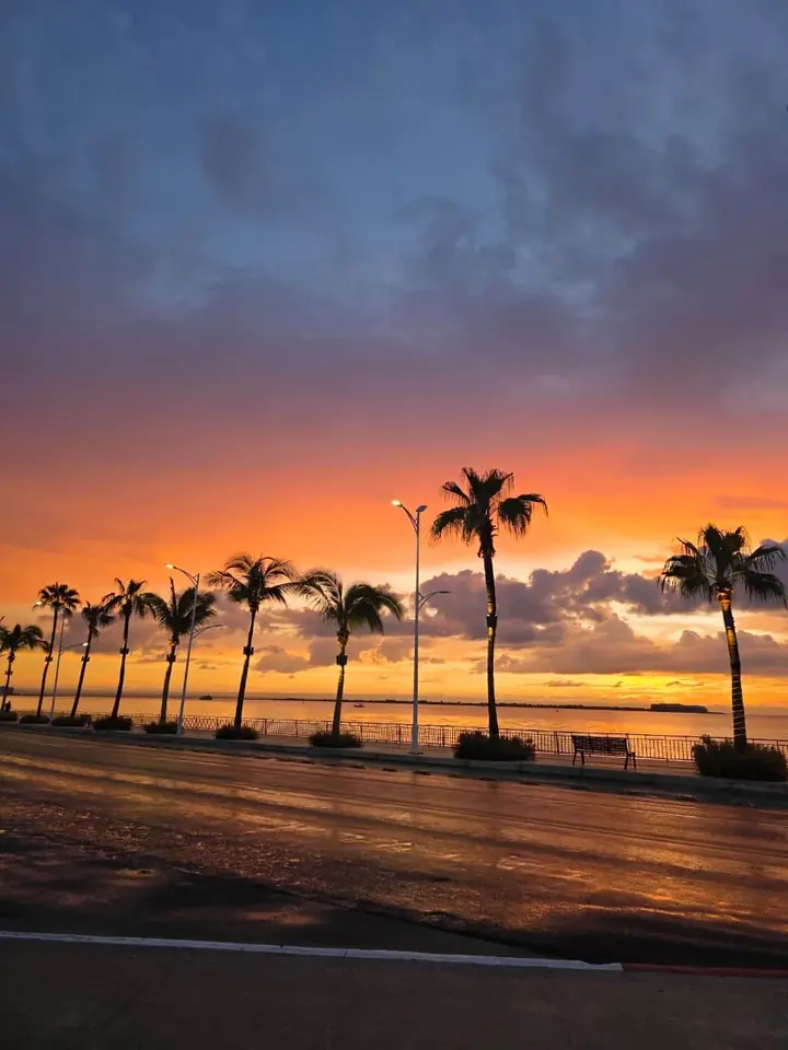 Palmeras y costa de La Paz al anochecer